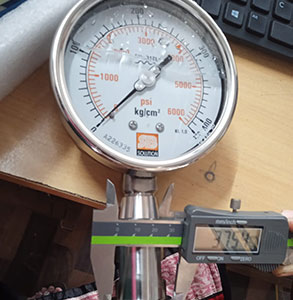 Homogenizep pressure gauges